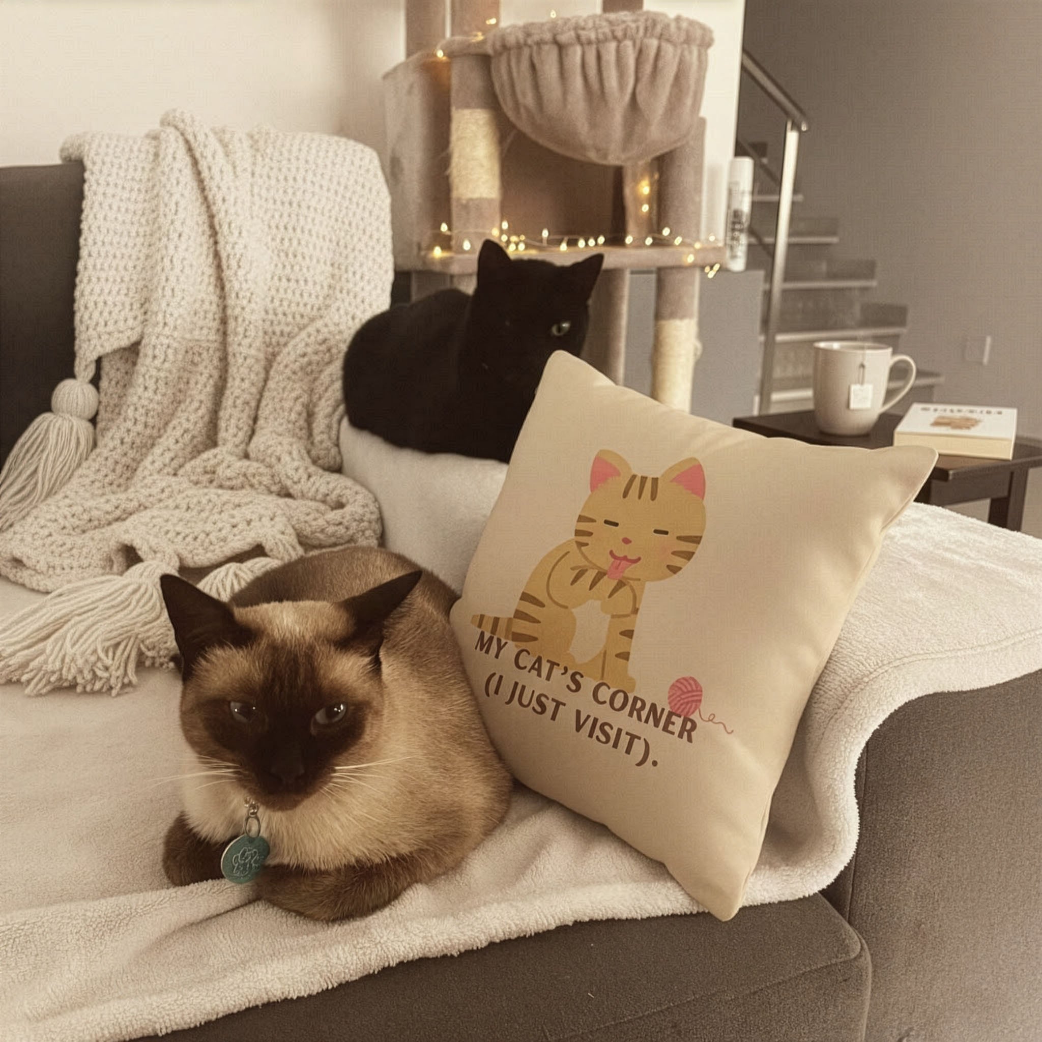 Cozy pillow with cats enjoying Flick & Puff cushion